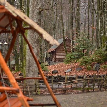 База Відпочинку Шиповець Poroshkovo Eksteriør bilde