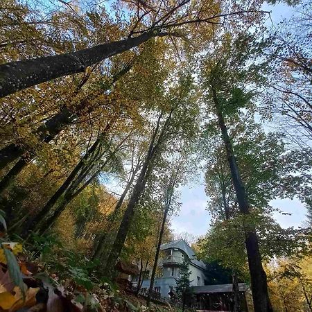 База Відпочинку Шиповець Poroshkovo Eksteriør bilde