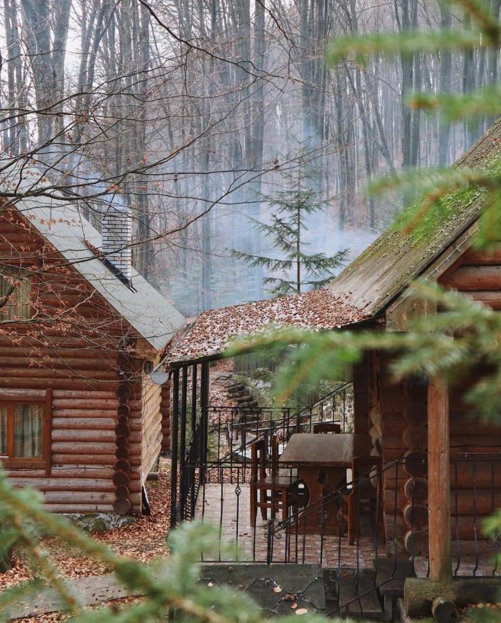 База Відпочинку Шиповець Poroshkovo Eksteriør bilde
